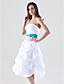  A-line Strapless Knee-length Taffeta Pick-up Bridesmaid/Homecoming Dress