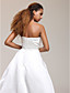  Satin Tulle A-line Strapless Floor-length Evening/ Prom Dress inspired by Isabella Ragonese