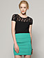  Women's Lace Round Collar Short Sleeve Top