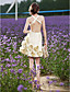  A-line Straps Short/Mini Taffeta Wedding Dress