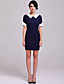  TS VINTAGE 1960s Contrast Collar Cute Dress