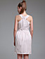  TS Bud Skirt Sleeveless Dress