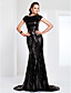  Sequined Bateau Neck Sweep/Brush Train Evening Dress Inspired By Evan Rachel Wood At The Emmys