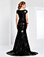  Sequined Bateau Neck Sweep/Brush Train Evening Dress Inspired By Evan Rachel Wood At The Emmys