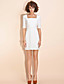 TS Mesh Back Sheath Dress
