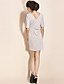  TS Side Pleated Sheath Dress