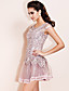  TS Beaded Net Tulle Dress