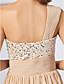  Sheath/Column One Shoulder Floor-length Chiffon Evening Dress