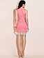  ts robe vintage en dentelle sans manches bodycon
