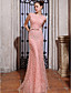  Trumpet Mermaid Bateau Sweep Brush Train Tulle Over Chiffon Luxurious Dresses