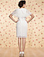  TS VINTAGE Shawl Lace Dress