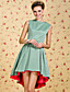  ts vintage kleurblok swallowtail ruches jurk