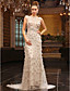  Sheath Column Bateau Sweep Brush Train Tulle Over Chiffon Luxurious Dresses