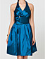  A-line Halter Knee-length Taffeta Bridesmaid Dress