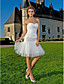  Sheath/Column Sweetheart Knee-length  Lace And Tulle Wedding Dress