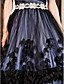  Ball Gown Sweetheart Floor-length Tulle Satin Evening Dress