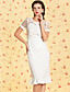  TS VINTAGE Perspective Lace Ruffle Hem Dress