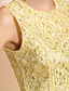  TS Simplicity Gold Lace Sleeveless Sheath Dress