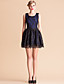 TS VINTAGE Bow Back Lace Sleeveless Princess Dress