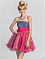  A-line|Princess Strapless Short/Mini  Satin|Tulle Evening Dress