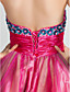  A-line|Princess Strapless Short/Mini  Satin|Tulle Evening Dress
