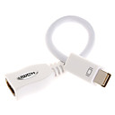 Mini DVI Male to HDMI Female Adapter (1080p)