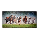se extendía animales abstractos hechos a mano de pintura a caballo (0250-CH-23)
