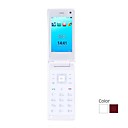 K890 Dual Card Dual Standby Dual Band Dual Camera Ultra Thin Flip Cell Phone (2GB TF Card)