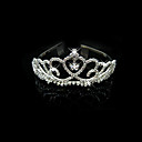 Gorgeous Crystals Wedding Bridal Tiara