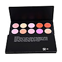 profissional de 10 cores da paleta Rouge (0479-aa-22)