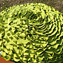 bloesem decor kussen (met insert)