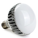E27 12W 5000K LED-Lamp Met Natuurlijk Wit Licht