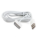 Cable de datos USB de carga para el iPad (2m)