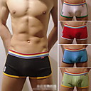 Rainbow Sports Underpants