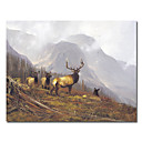 Oil Painting Stretched Canvas Prints Animal 24" x 24"