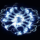 3Mx3M White LED String Light with 300 LEDs