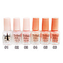 6PCS Tribal Colore Multi-Color Rispettoso dell'ambiente Nail Art contemporanea polacca (6 ml, Colore No.1-6)