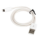 Câble Lightning de Chargement et de Synchronisation avec Emballage pour iPad Mini, iPhone 5 et Autres (1M)