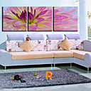 Stretched Canvas Print Botanical Floral Set of 3 1301-0151