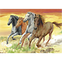 arte impreso animal corriendo caballos por luis bargallo