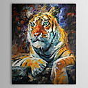 Hand Painted Oil Painting Animal Tiger 1304-AN0066