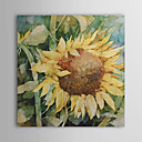 Hand Painted Oil Painting Floral 1305-FL0120