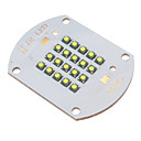 CREE XPG bricolage White Light Ampoule LED de la lampe 100W Règle